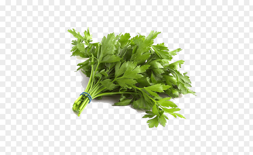 Vegetable Parsley Organic Food Leaf PNG