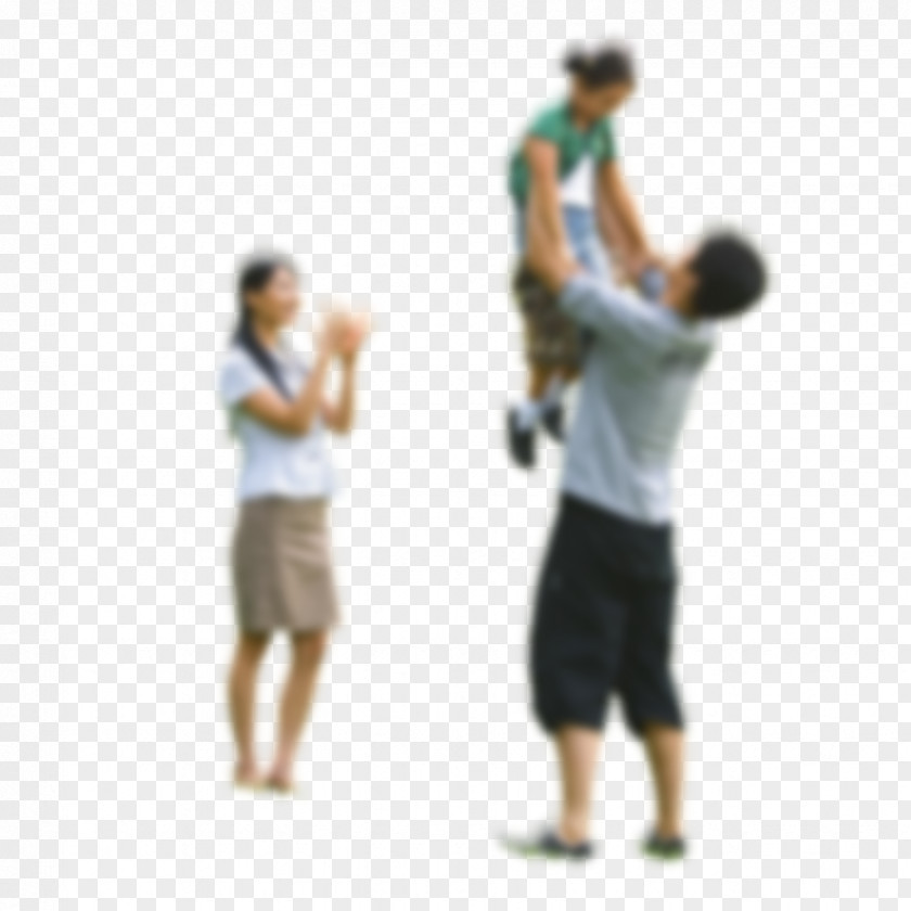 A Family Of Three Euclidean Vector PNG