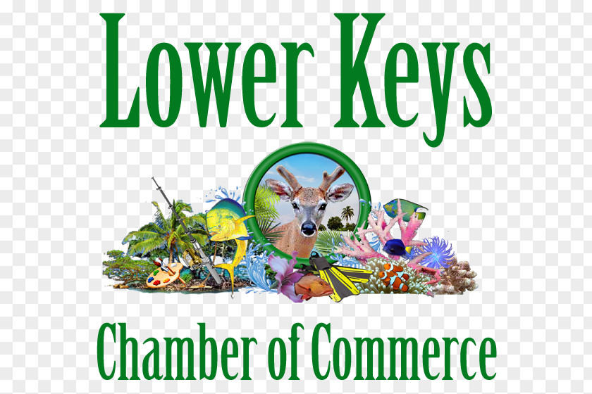 Business Key West Florida Keys Lower Chamber Of Commerce Sea Vista Estate PNG