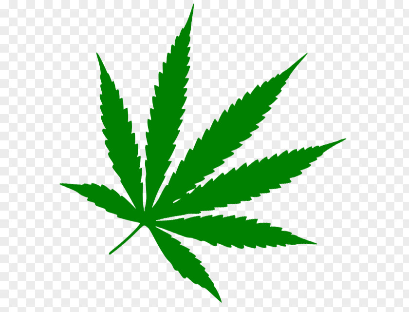 Cannabis Medical Leaf 420 Day Stoner Film PNG