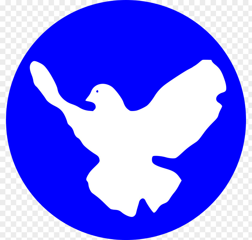 Dove Vector Peace & Justice Center Symbols Doves As Movement PNG