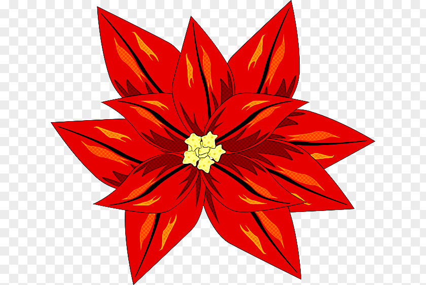 Poinsettia Flower Red Petal Plant Leaf PNG