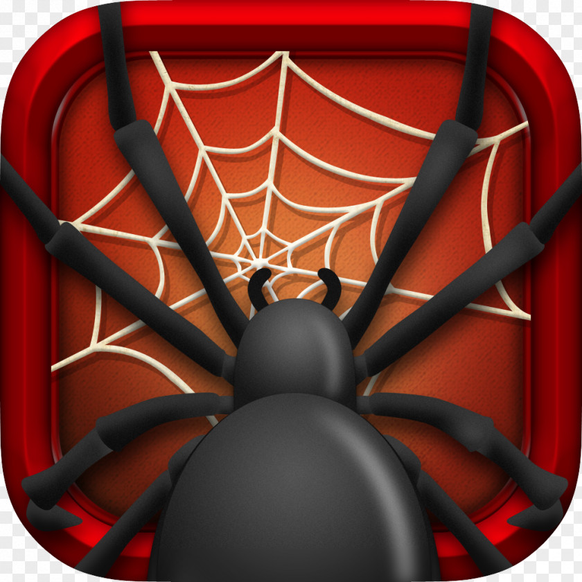 Spider Web Desktop Wallpaper Editing PNG
