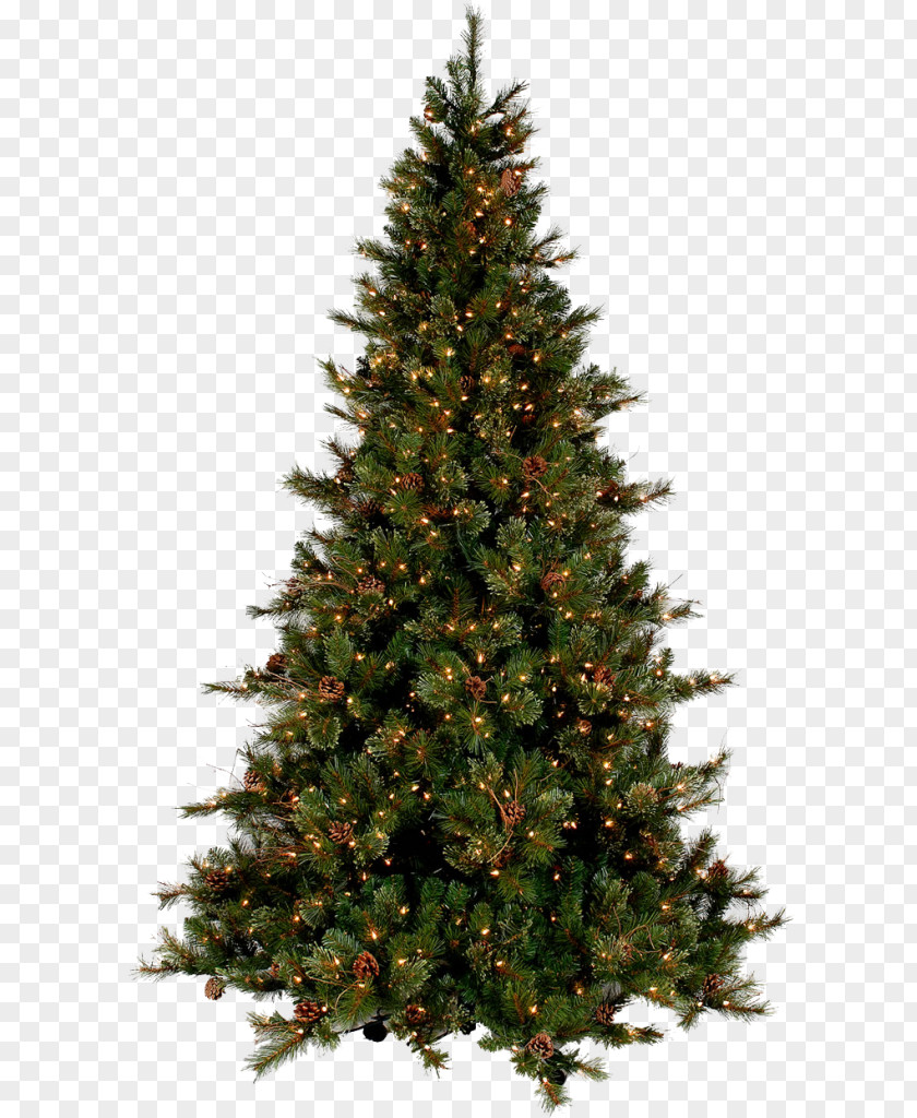 Christmas Tree Clip Art Day PNG