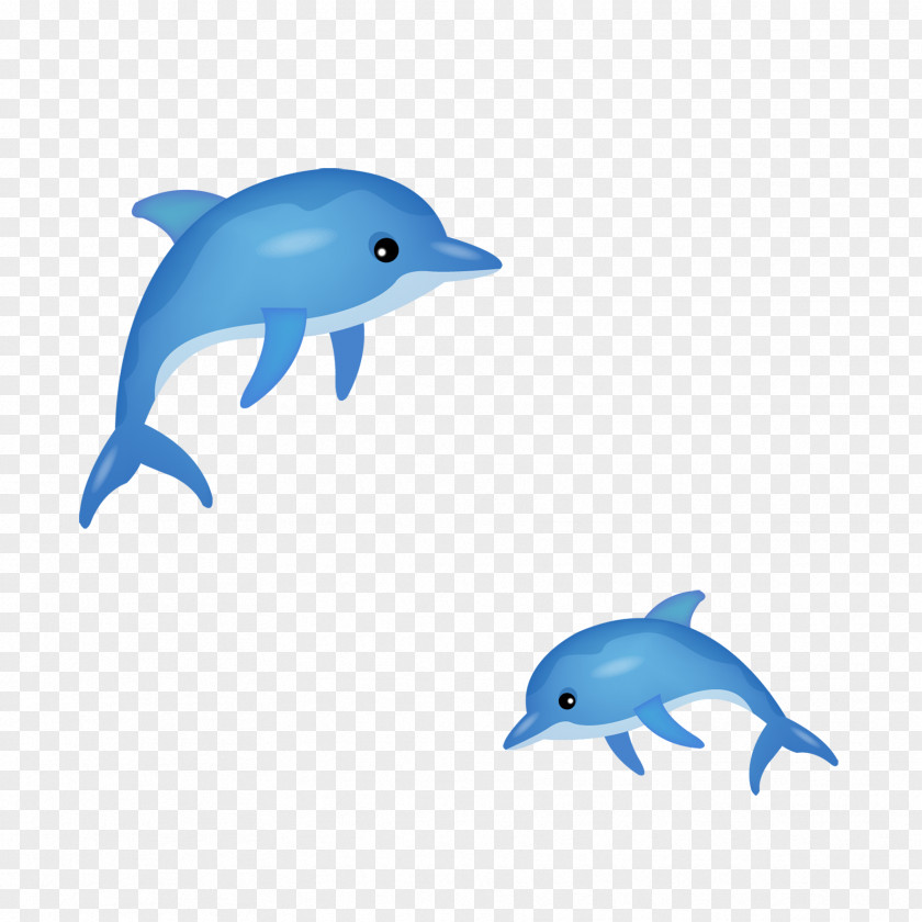 Dolphin Short-beaked Common Bottlenose Tucuxi PNG