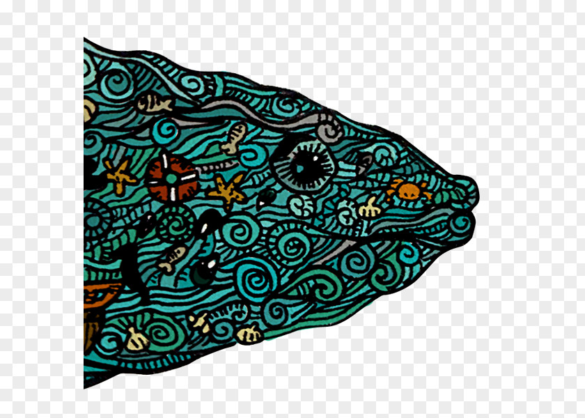 Fish Visual Arts Turquoise Rectangle PNG