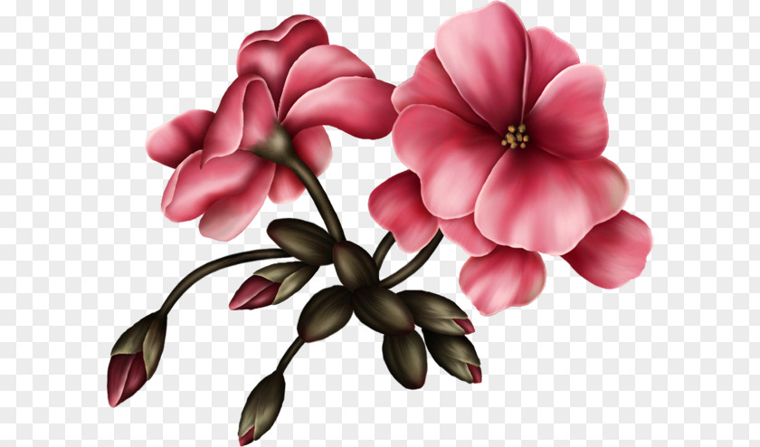 Flower Bouquet Animation Floral Design PNG