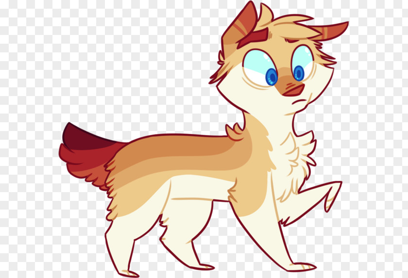 Kitten Whiskers Red Fox Cat Dog PNG