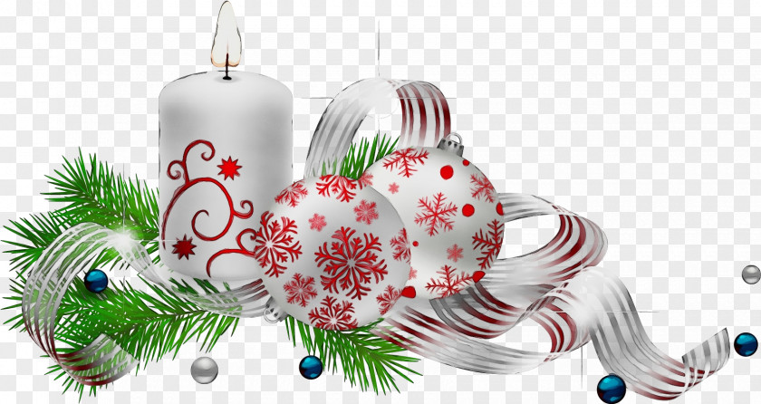 Plant Christmas Tree Ornament PNG