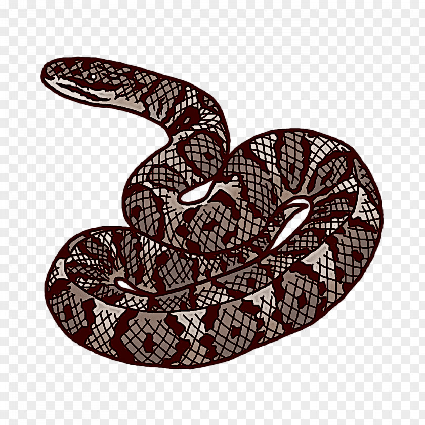 Rattlesnake Boa Constrictor Kingsnakes Vipers Cartoon PNG
