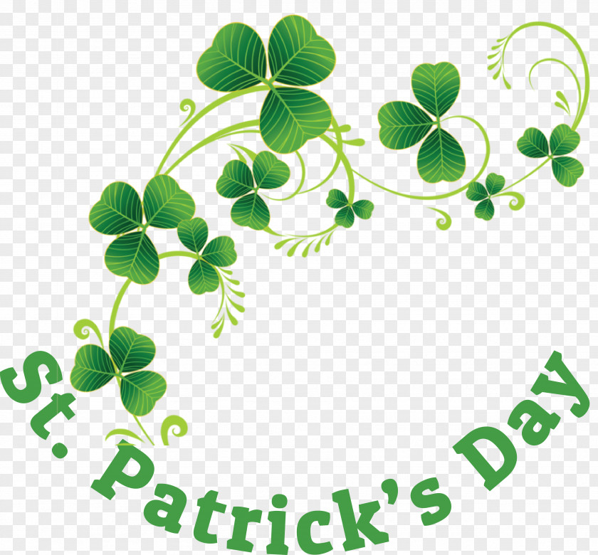 Shamrock PNG