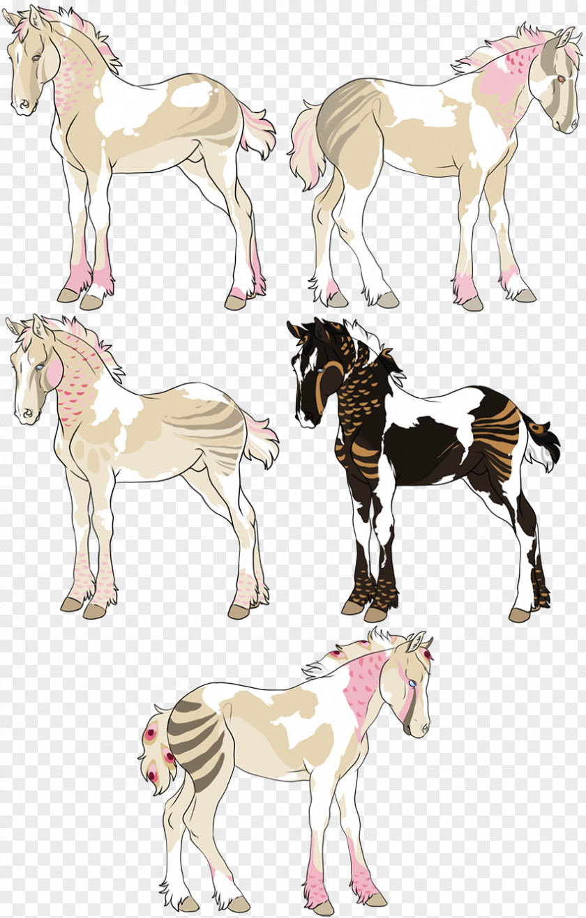 Brown Sugar Cubes Mustang Donkey Quagga Mane Illustration PNG