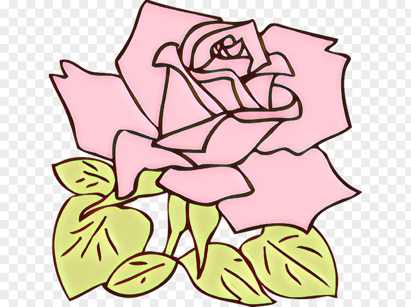 Cut Flowers Plant Rose PNG