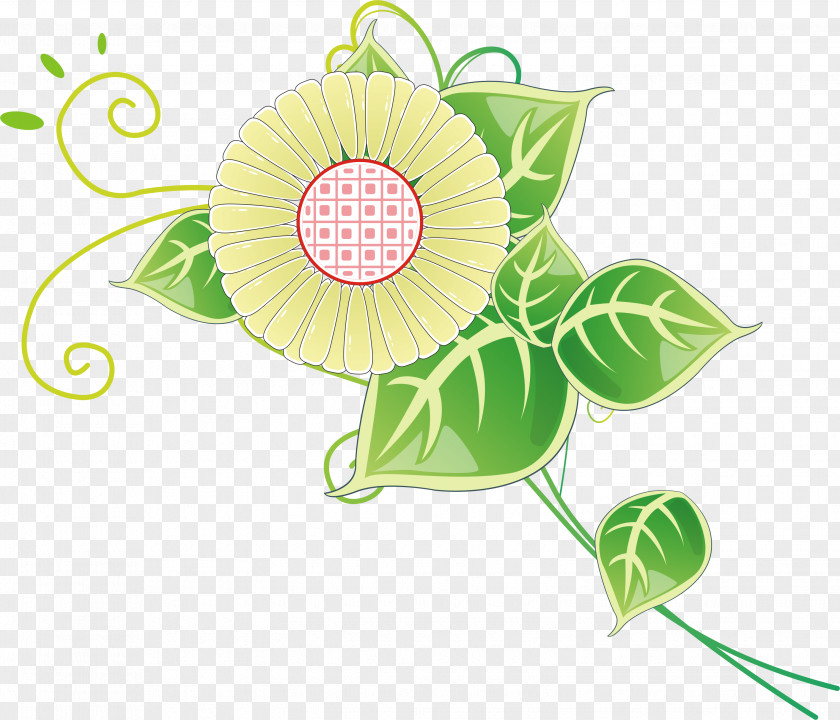 Design Common Sunflower Floral Cut Flowers PNG