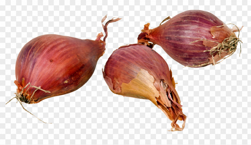 Small Onion Shallot Garlic Potato Chives Allium Chinense PNG