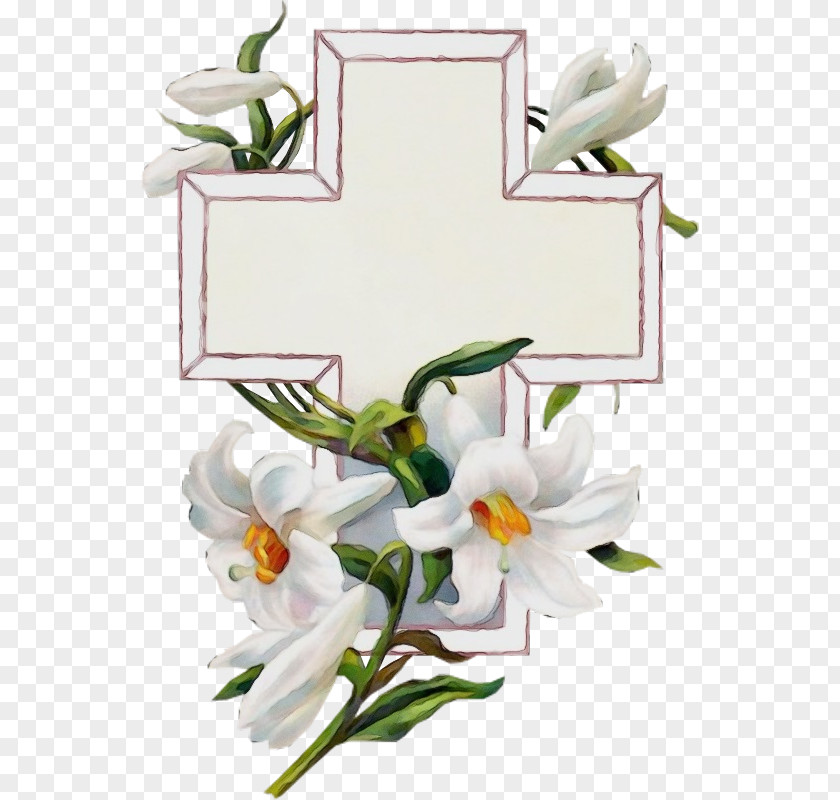 White Flower Lily Plant Cut Flowers PNG