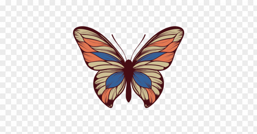 Butterfly Vector Graphics Clip Art Illustration PNG