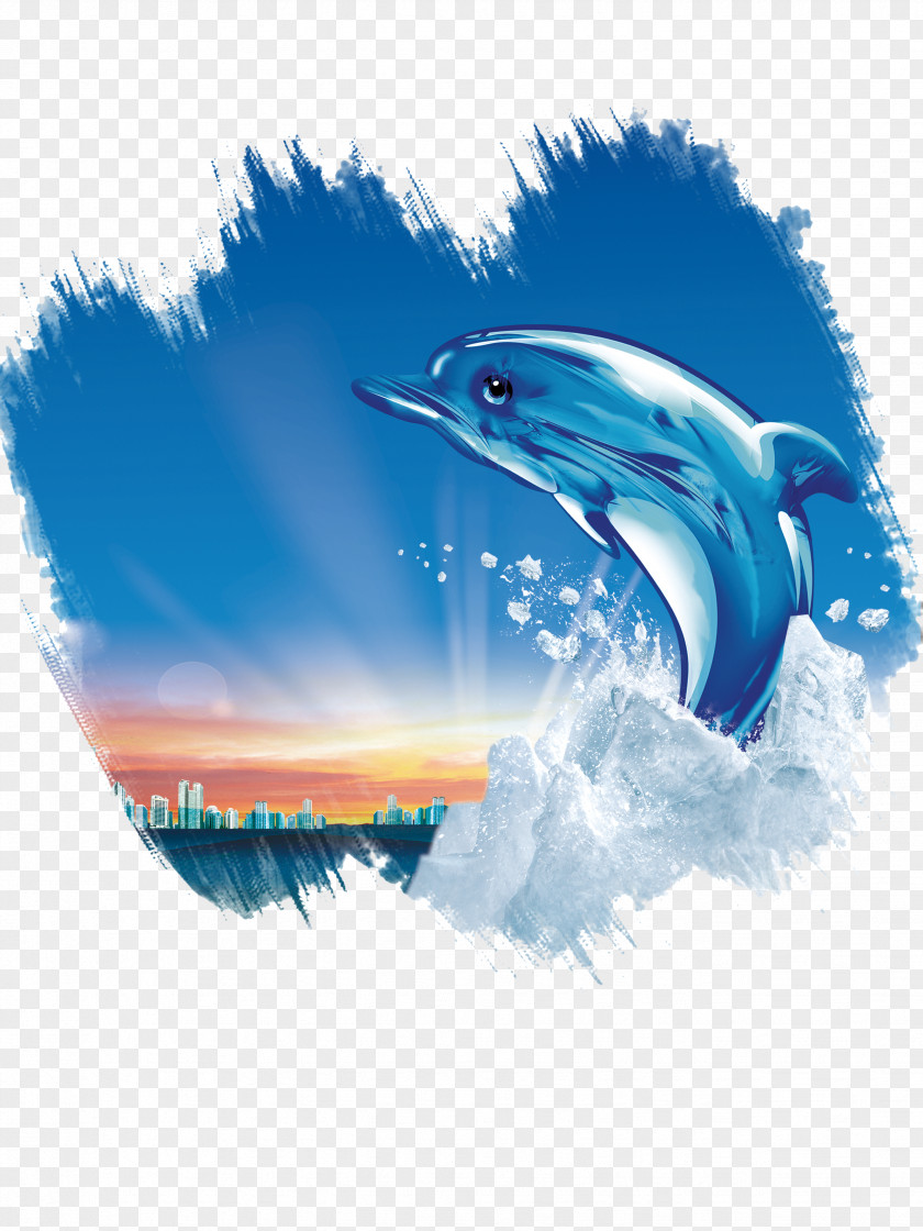 Dolphin Poster U6c55u5934u5e02u4e09u8054u978bu4e1au6709u9650u516cu53f8 Innovation PNG