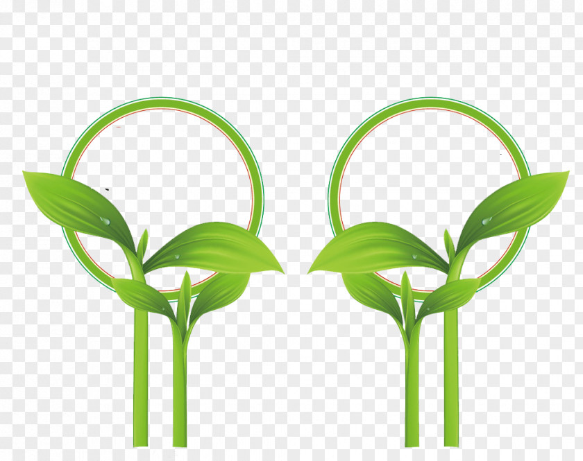 Magnifying Glass With Small Green Buds Shoot PNG