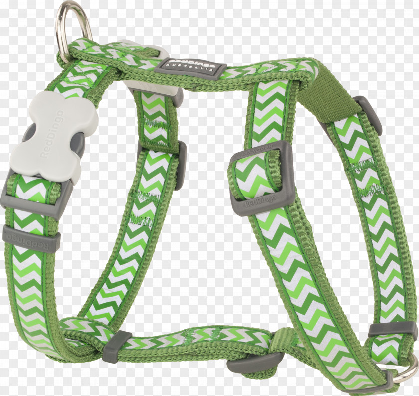 Red Collar Dog Harness Horse Harnesses Puppy Dingo PNG