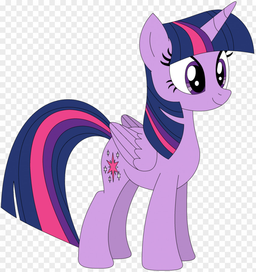 Twilight Sparkle Pinkie Pie Rarity Applejack Pony PNG