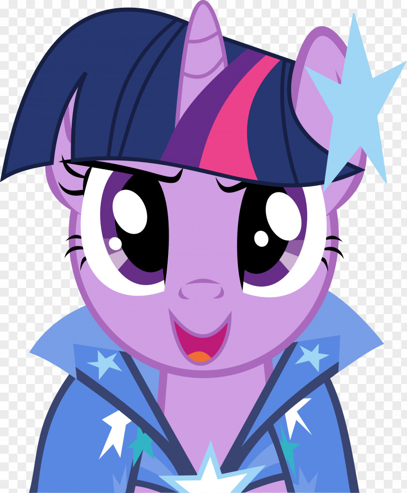 Twilight Sparkle Pinkie Pie Rarity Rainbow Dash Pony PNG