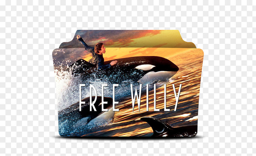 Willy Free Adventure Film YouTube Killer Whale PNG