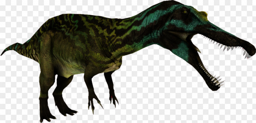 Dinosaur Zoo Tycoon 2 Tyrannosaurus Suchomimus Spinosaurus Irritator PNG