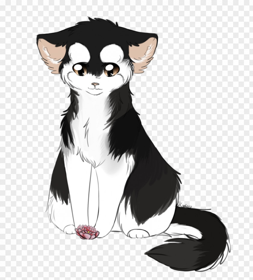 Dog Whiskers Cat Fur Illustration PNG