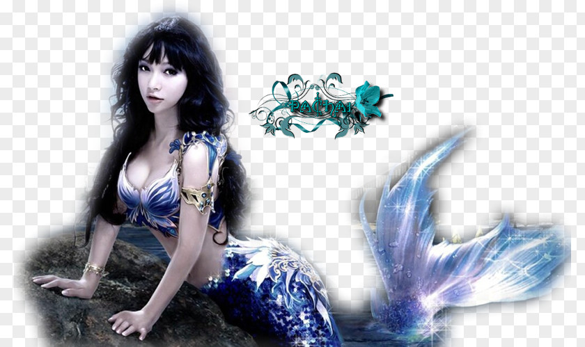 Mermaid Desktop Wallpaper Legend Cat Translator PNG