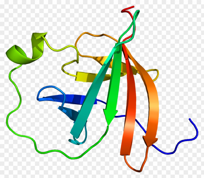 MTCP1 Protein Kinase B Gene AKT1 PNG