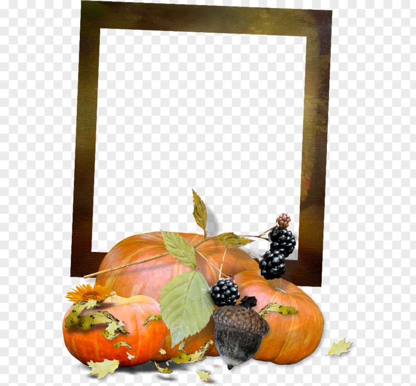 Pumpkin Picture Frames Clip Art PNG