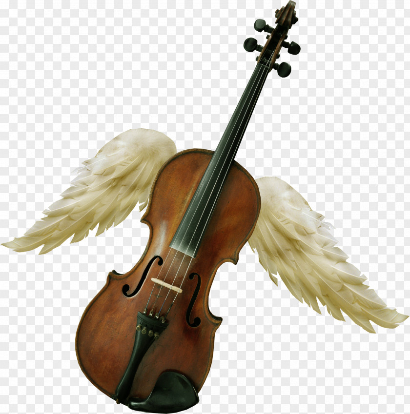Violin Family Cello Musical Instruments Viola PNG