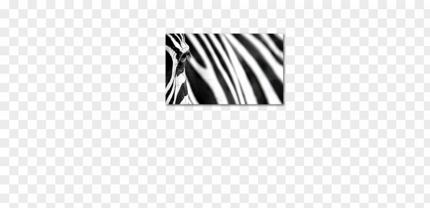 Animal Stripes Logo White Mammal Brand Font PNG