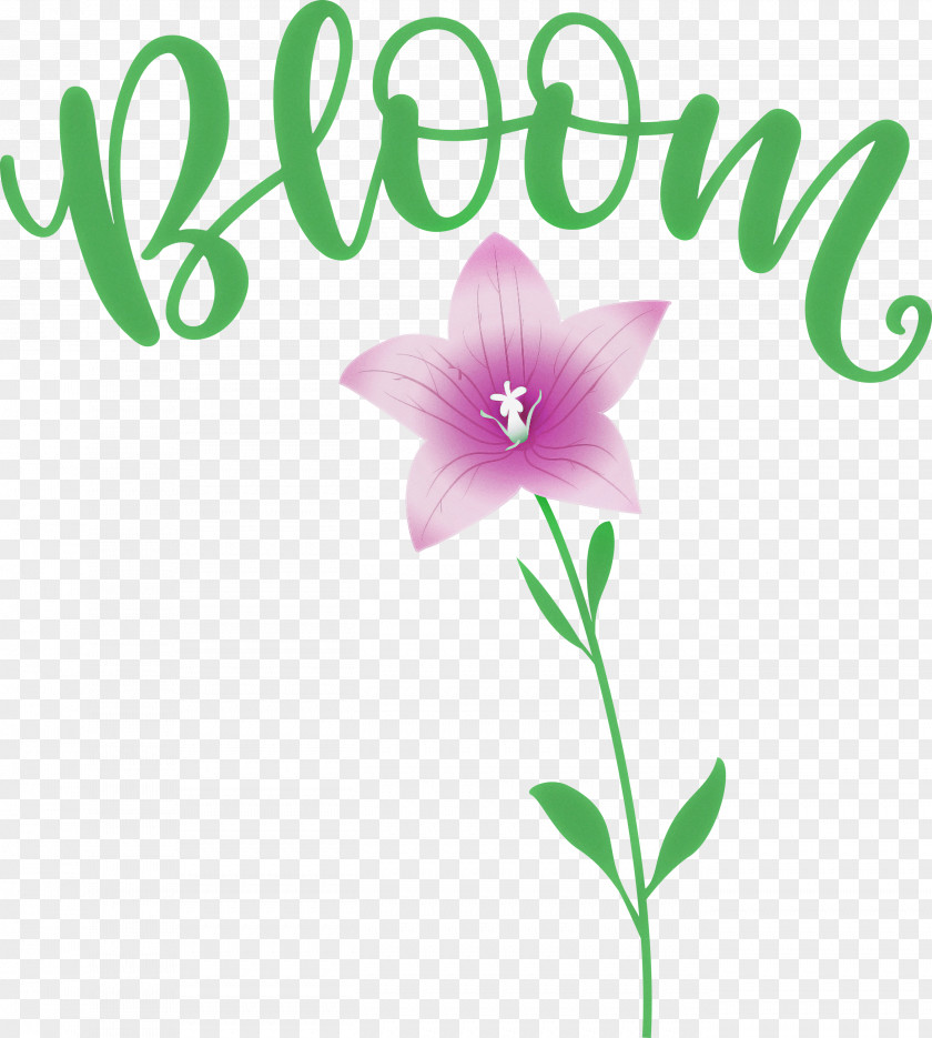 Bloom Spring Flower PNG