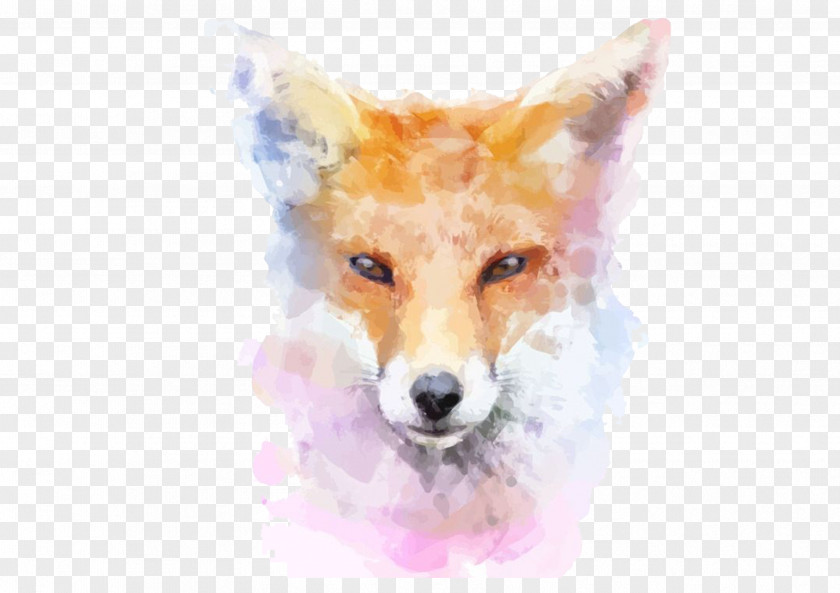 Hand Painted Fox Watercolor Painting Stock Illustration PNG