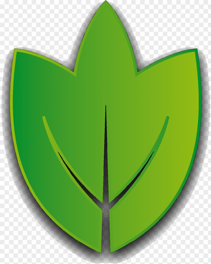 Leaf Graphics Symbol PNG