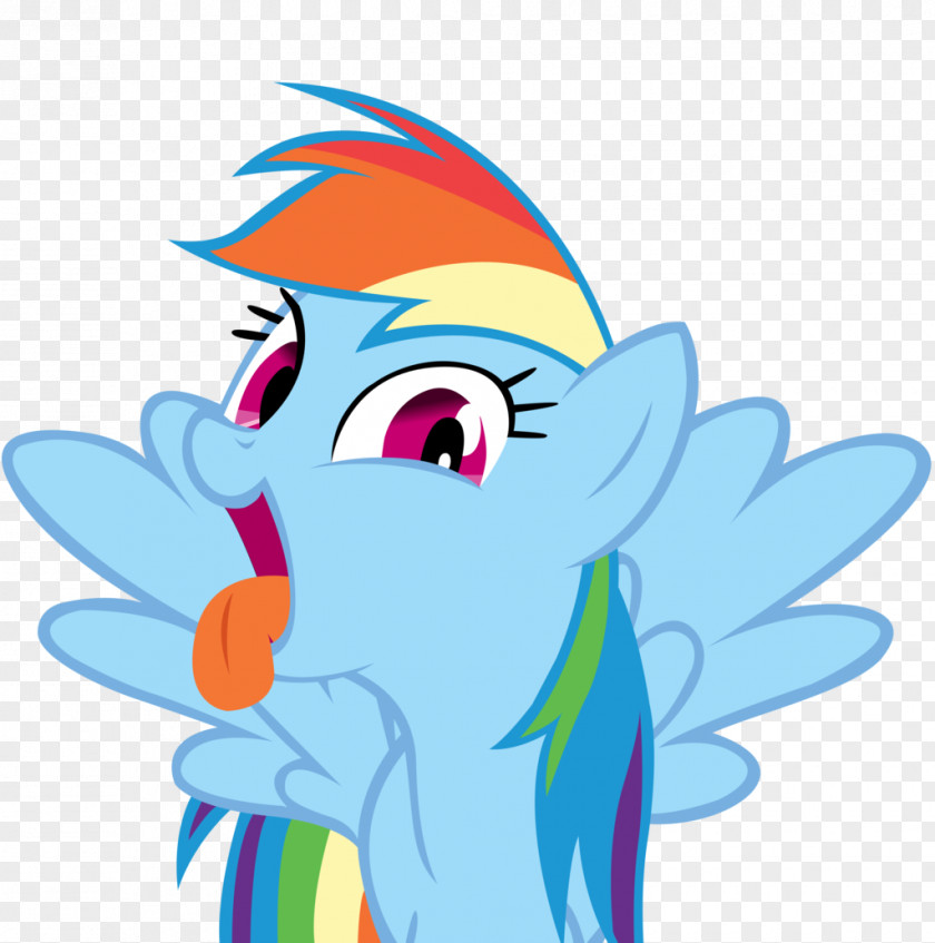 Rainbow Dash Pinkie Pie Rarity Twilight Sparkle Applejack PNG