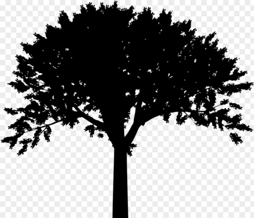Share Icon tree Meditation Symbol Vector Graphics Illustration PNG