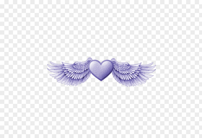 Data Angel Wing Clip Art PNG