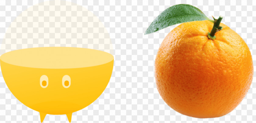 Mandarin Orange Tangerine Food Tangelo Bedrock & Bloom Smart Ash PNG