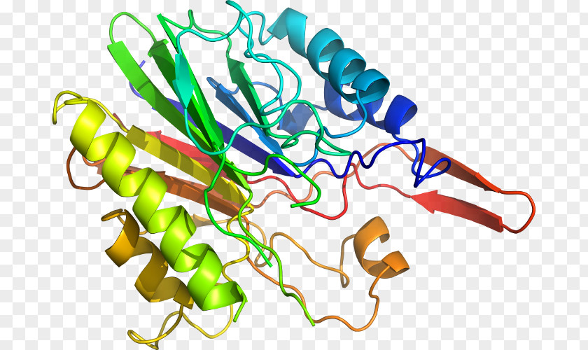 Protein Structure Prediction Computer Software BLAST PNG
