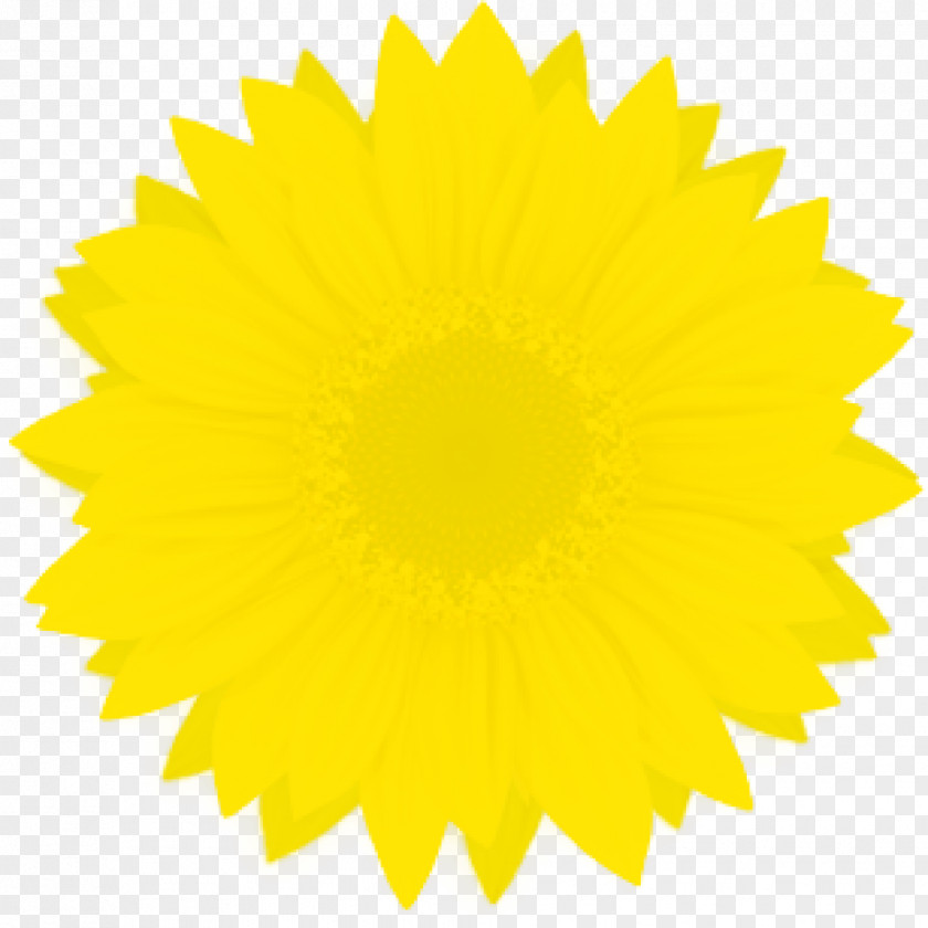 Environment-friendly Yellow Starburst Clip Art PNG