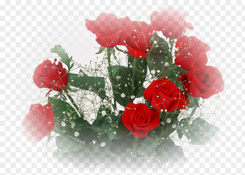 Cut Flowers Beach Rose Gift Petal PNG