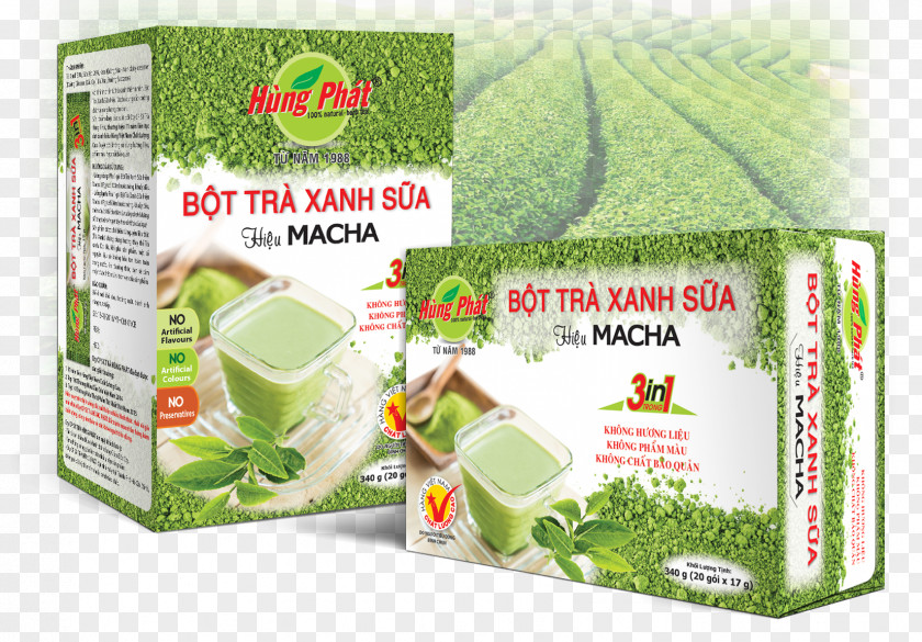 Green Tea Matcha Milk Latte PNG