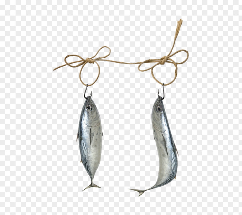 Hanging Dried Salted Fish Salting PNG