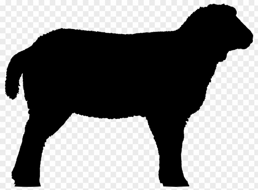 Mutton Goat Clip Art Vector Graphics Shorthorn Livestock Show Calf Roping PNG