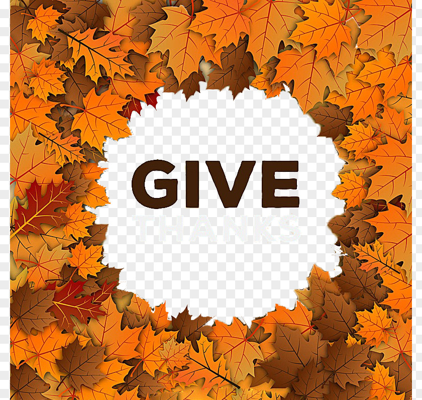 Thanksgiving Autumn Leaves Poster Label Icon Background Leaf PNG