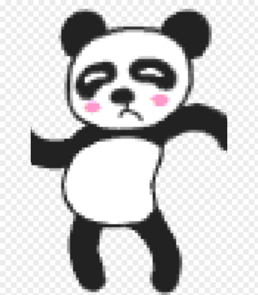 Animation Giant Panda Giphy Tenor PNG