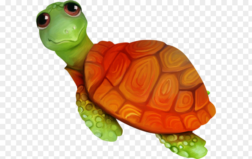 Cartoon Animals Crawl Small Turtle Sea Tortoise Emydidae PNG